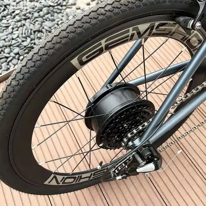 Raydafon P160 ALL-IN-ONE Motor with Built-in Battery