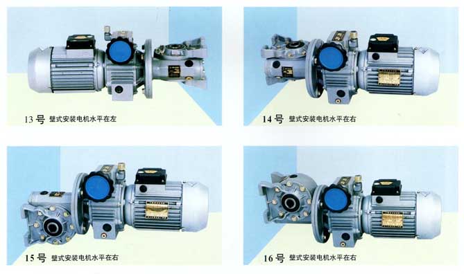 WJ Series Worm Gear Speed Reducer