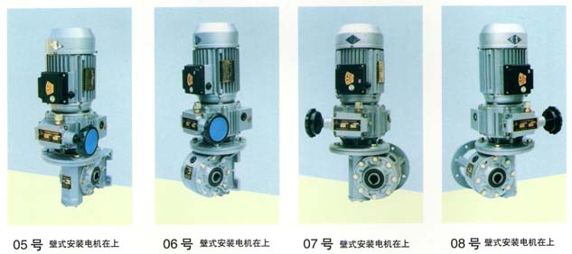 WJ Series Worm Gear Speed Reducer