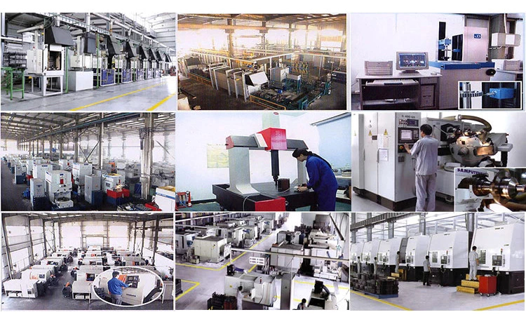 2544003 Support Fits For Gallignani