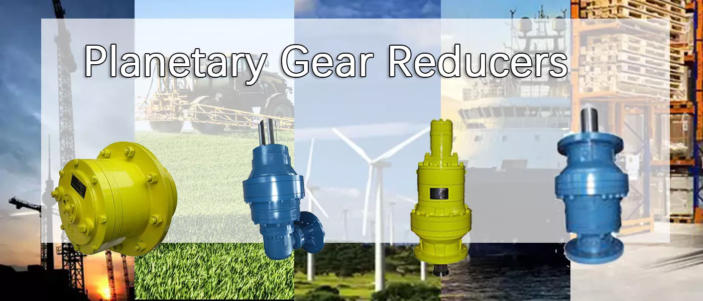 Planetary Gearbox Reducer Replacement of Brevini Riduttori EC162