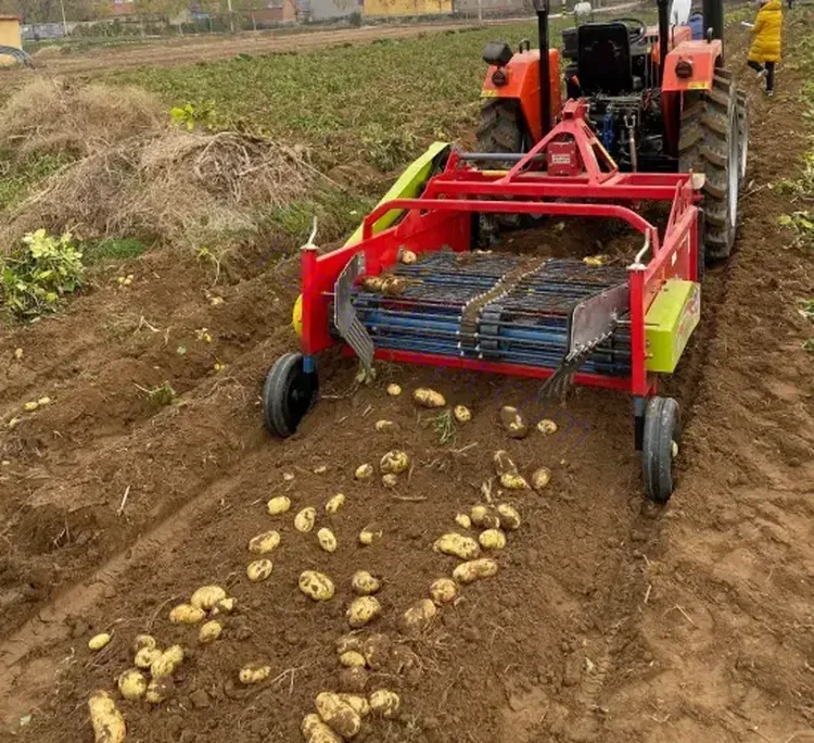 Single-Row Potato Harvester Machine for Sale
