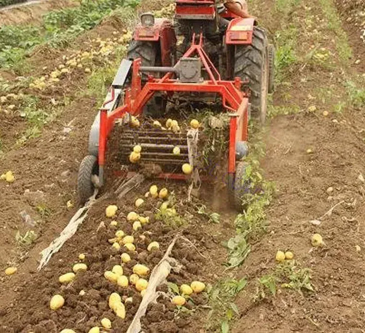 4U-600 Single Row Potato Harvester for Sale