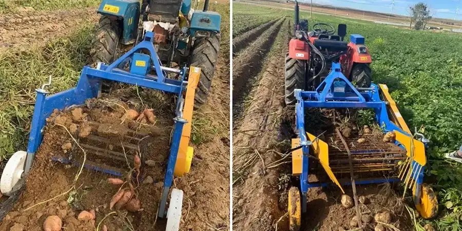 4U-600 Single Row Potato Harvester for Sale