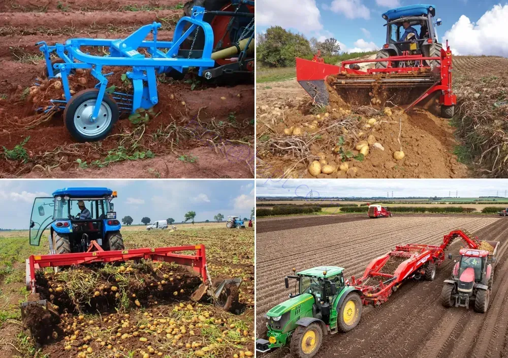 Single-Row Potato Harvester Machine for Sale
