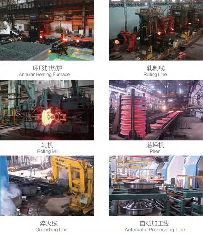 Resilient Wheel RDF-MTJ711