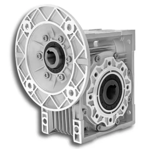 Worm Reducer-Replacement of Bonvario BL Series Worm Gearbox Size 25