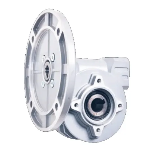 Worm Reducer-Replacement of Bonvario BVF Series Worm Gearbox Size 44