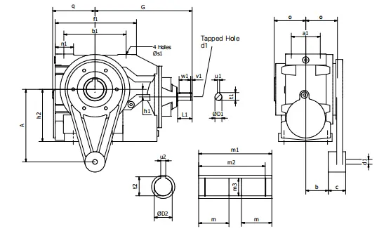 Worm Reducer-Replacement of Fenner Series C Helical Worm Gearbox Shaft Mounted Reducer-with Torque Arm Double/Triple Reduction 875