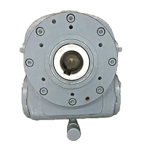 Worm Gear Reducer-Replacement of Mitsubishi Heavy Worm Gear Unit SHVA Series Hollow Shaft Type Single Stage Reducer SHVA100L(R)-10