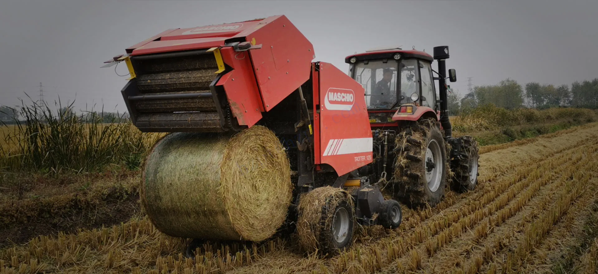 RDF-EALP-O2 Series Electric Drive Piston Pumps Lubrication Pump for MASCHIO TROTTER 125 Round Baler Replacement of BEKA 10138503/AZU