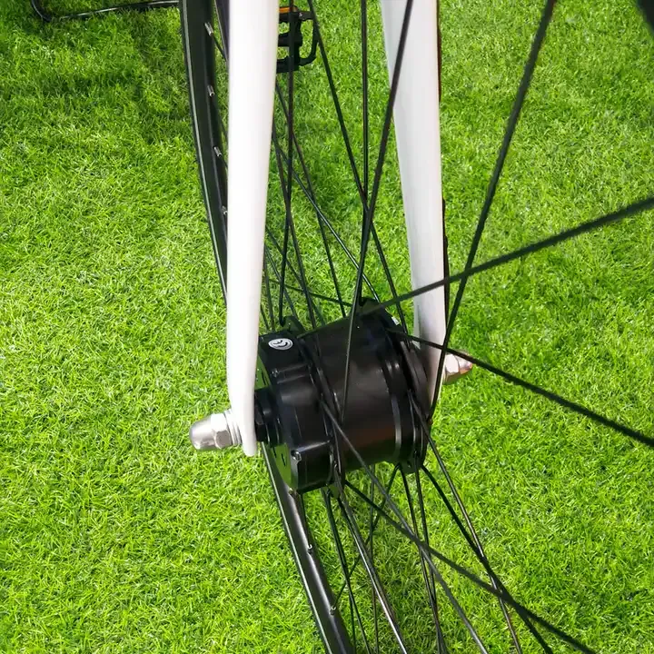 Raydafon Electric Cycle Kit Hub Motor 300w 36v Electric Motor For Bicycle