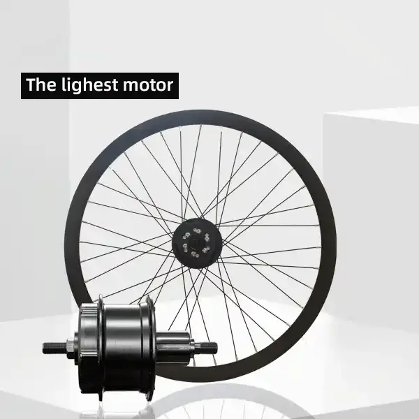 Raydafon Rear eBike Motor with Controller Inside 250W 24V/33V/36V