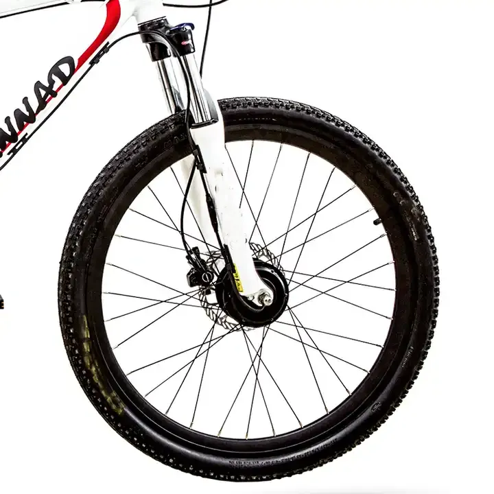 Raydafon S110 Front Motor: Quick Conversion in 2 Minutes Small Hub Motor for Ebike