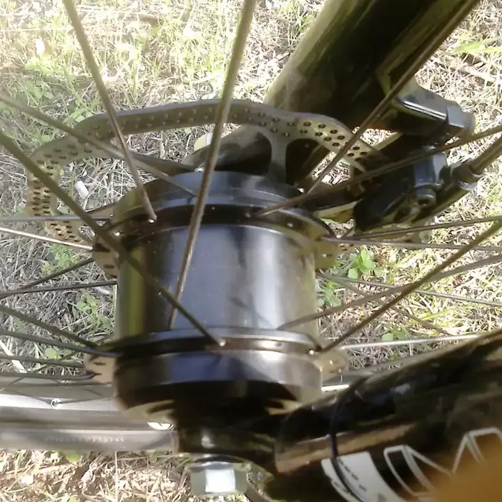 China Zhejiang Raydafon Electric Scooter Wheel Hub Motor S100SWXRDC36 33 Real Motor Front Motor