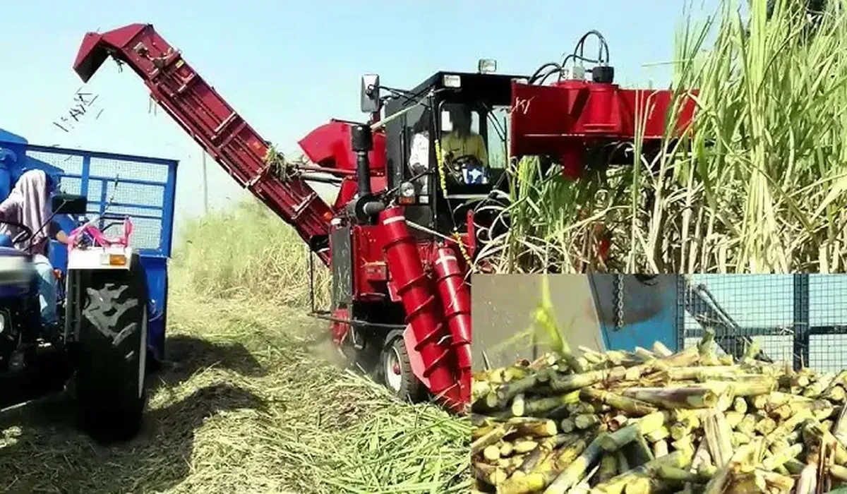 S42 Agricultural Roller Chain