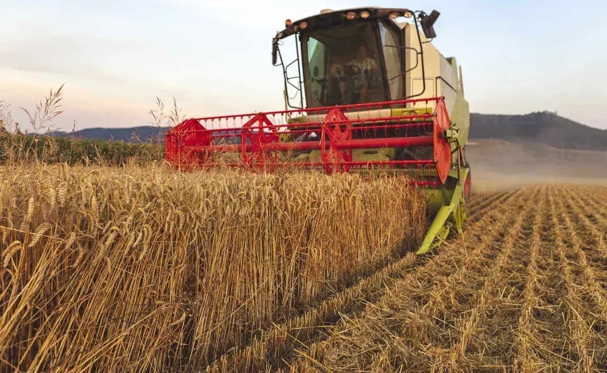 S55 Agricultural Roller Chain