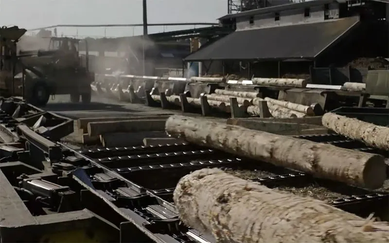 Sharp Top Roller Chain for Forestry and Timber Transportation