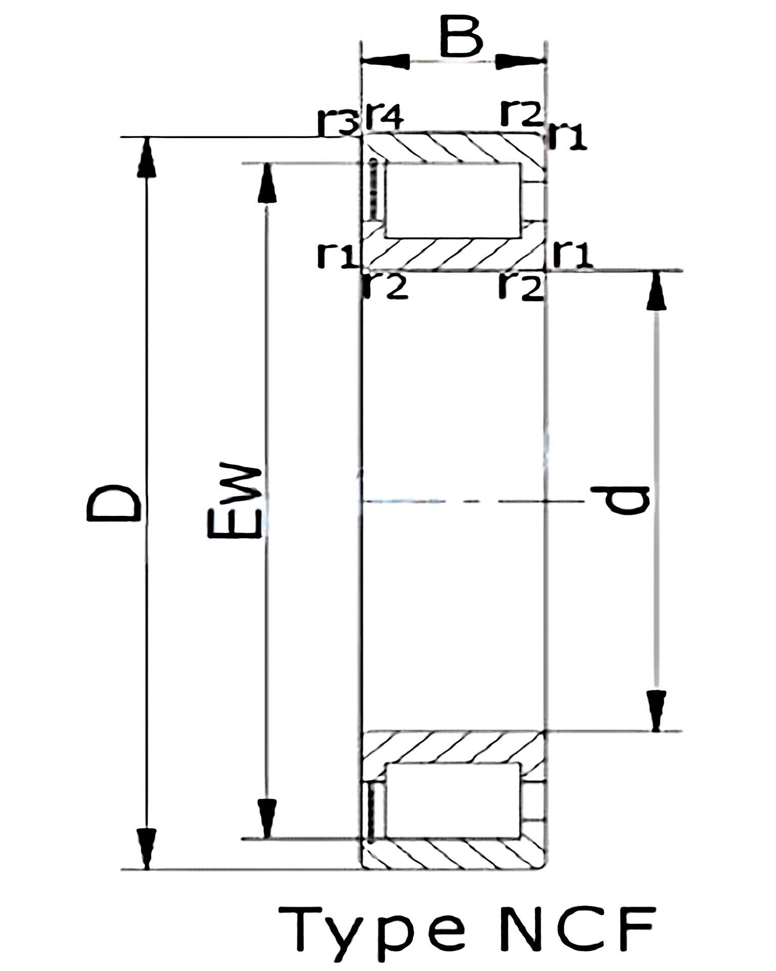 Single Row Full Complement Cylindrical Roller Bearings