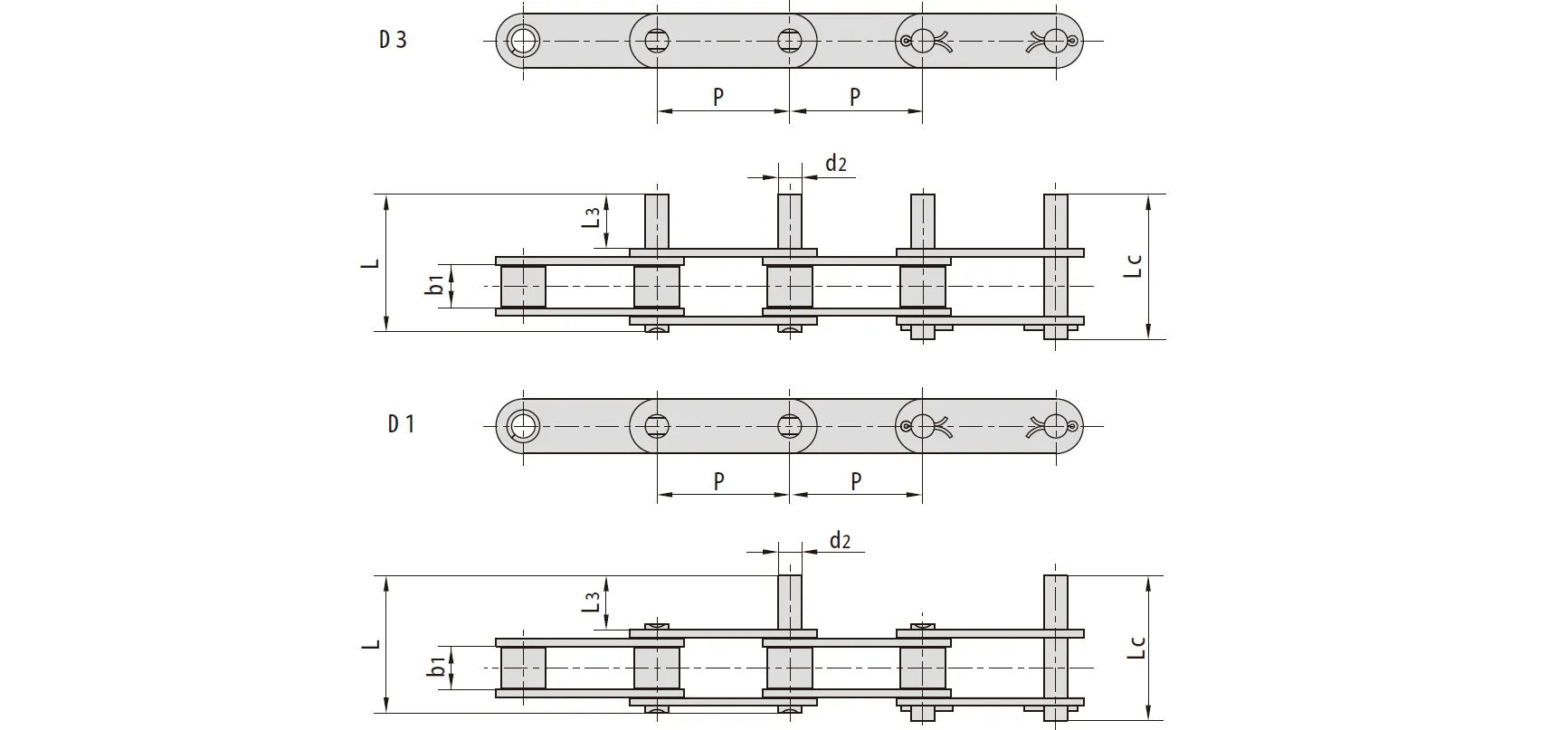 Stainless Steel Double Pitch Conveyor Chains with Extended Pins