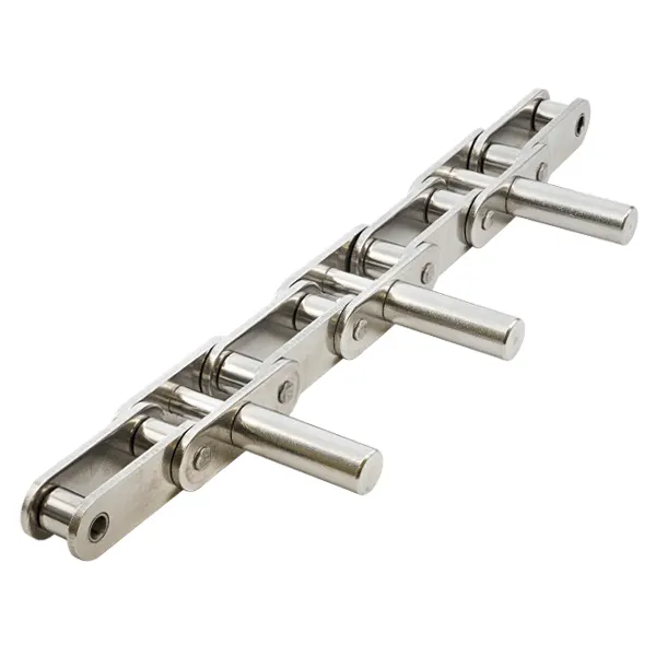 C208ASS/C2040SS Stainless Steel Double Pitch Conveyor Chain with D1 D3 Extended Pins