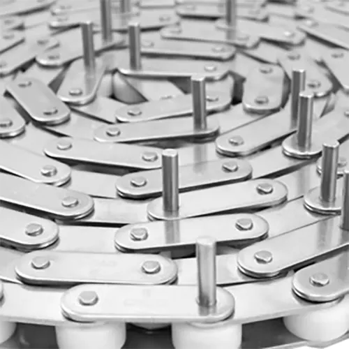 C208ASS/C2040SS Stainless Steel Double Pitch Conveyor Chain with D1 D3 Extended Pins