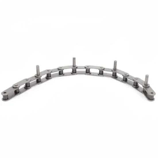 C208ASS/C2040SS Stainless Steel Double Pitch Conveyor Chain with D1 D3 Extended Pins