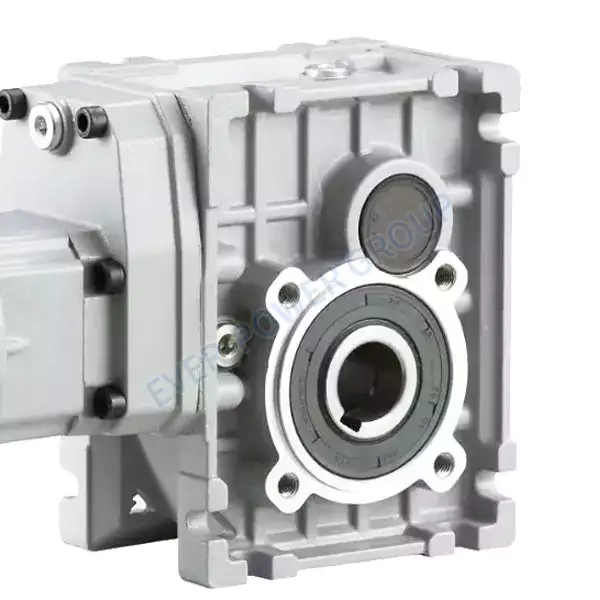 RDF-SSKM75 Stainless Steel Helical Hypoid Reducer