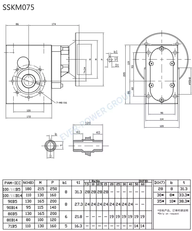 RDF-SSKM75 Stainless Steel Helical Hypoid Reducer