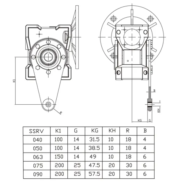 RDF-SSRV090 Stainless Steel Worm Gearbox