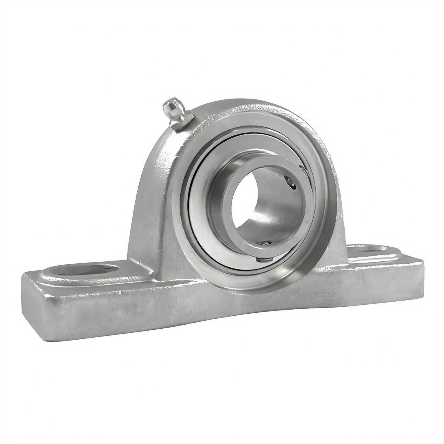 Stainless Steel 2-Bolt Pillow Block Bearings