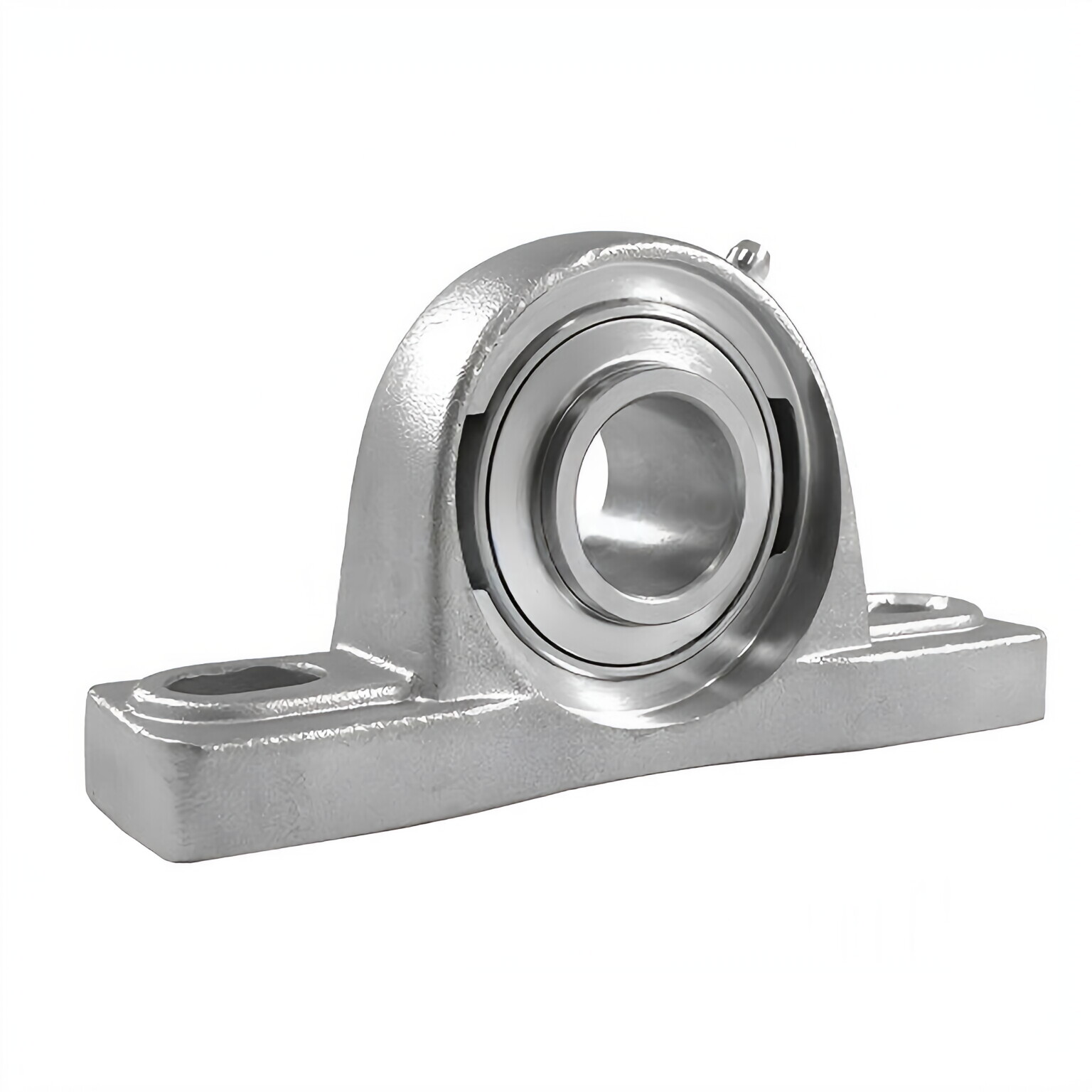 Stainless Steel 2-Bolt Pillow Block Bearings