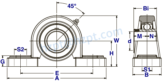 Stainless Steel 2-Bolt Pillow Block Bearings