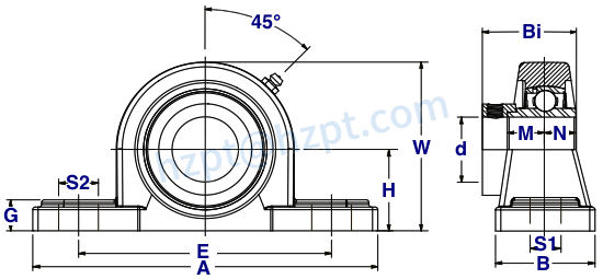Stainless Steel 2-Bolt Pillow Block Bearings