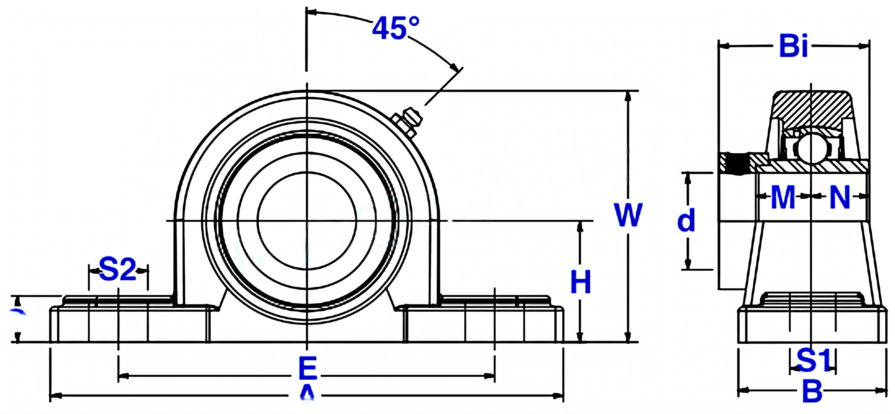 Stainless Steel 2-Bolt Pillow Block Bearings