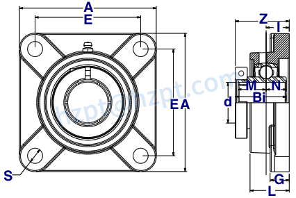 Stainless Steel 4-Bolt Flange Bearings