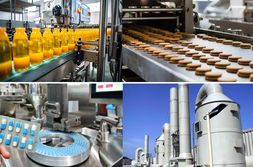 BS30-C212ASS Stainless Steel Double Plus Chain-3 Time Speed Conveyor Chain