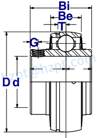Stainless Steel Insert Bearings
