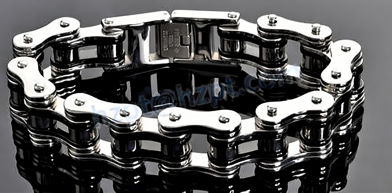 06CSS-3/35SS-3 Triplex Short Pitch Stainless Steel Bushing Chain
