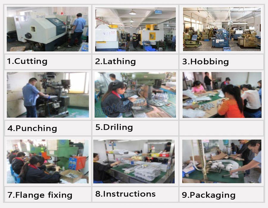 Stainless Steel Worm Gear for CNC Machinery