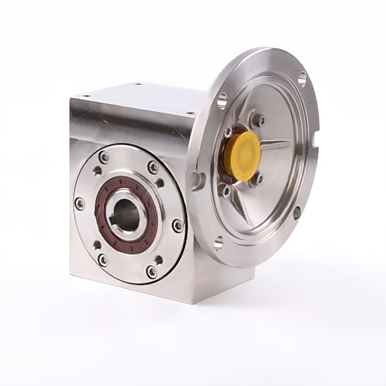 Stainless Steel Worm Gear Reducer
