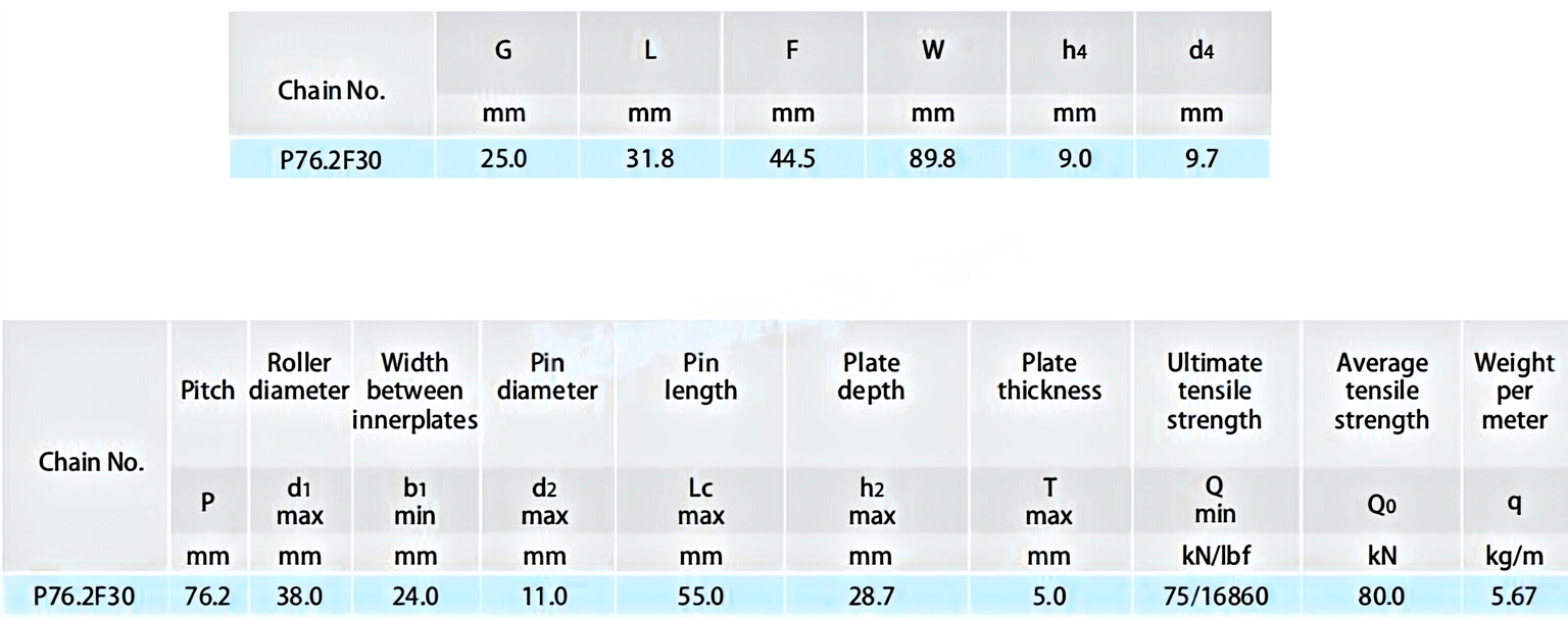 Tobacco Conveyor Chains P76.2F30