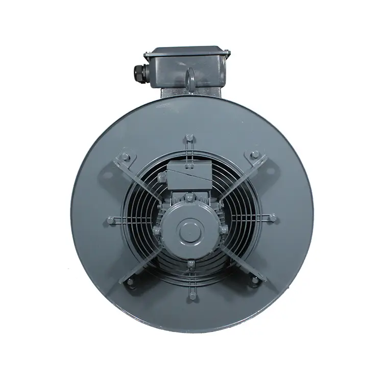 TYC series (IP55) Rare Earth Permanent Magnet Three-Phase Synchronous Motor