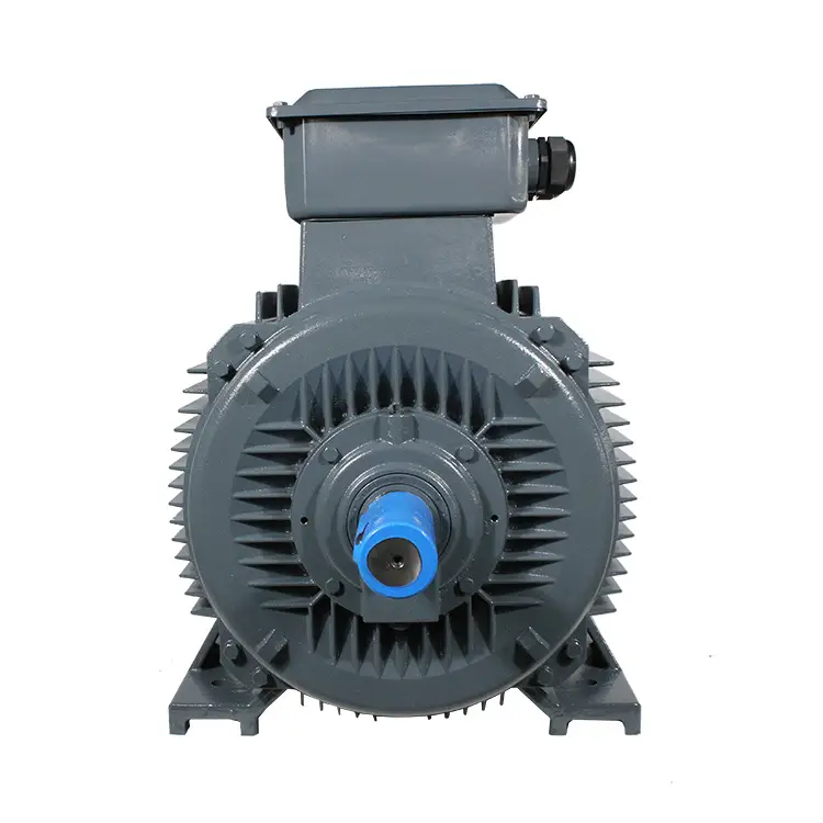 TYC series (IP55) Rare Earth Permanent Magnet Three-Phase Synchronous Motor