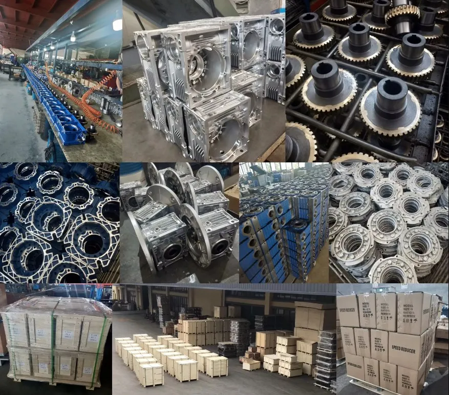 Worm Gearbox-Replacement of Chenta ASM Worm Gear Reducer (Input at Bottom)