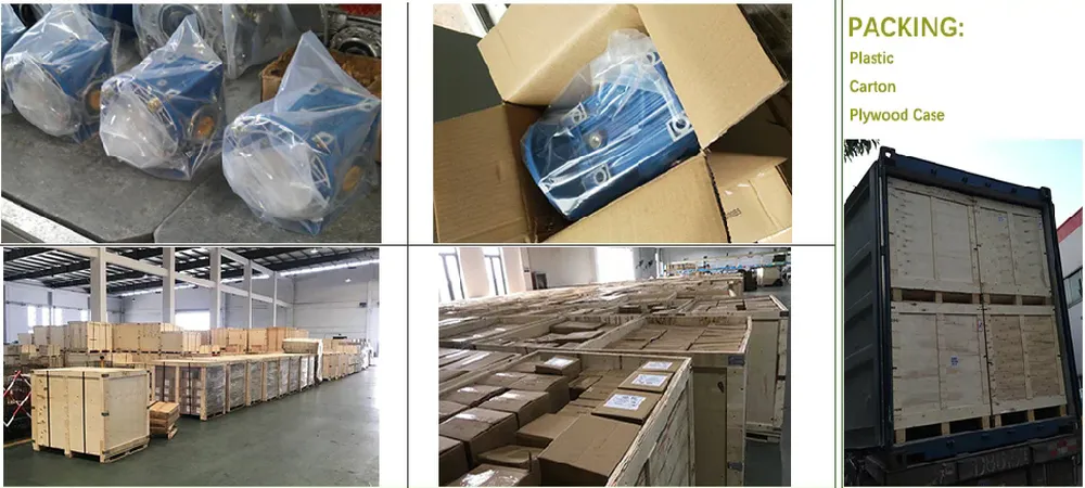 RDF-NMRV Aluminum Worm Gearbox / Worm Gear Reducer with Output Flange