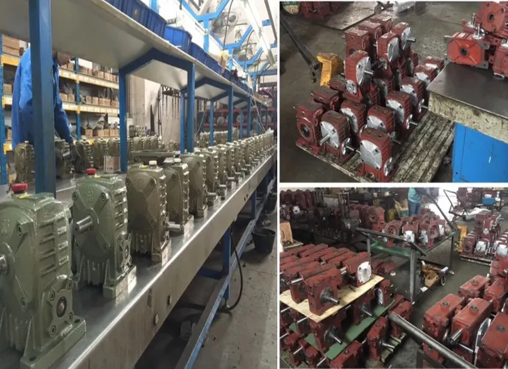 WPDS Series Worm Gearboxes