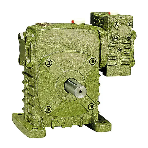 WPES Series Double Stage Worm Gearboxes