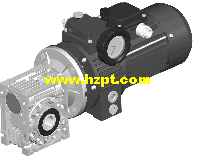 Combination of Reducer and Variators