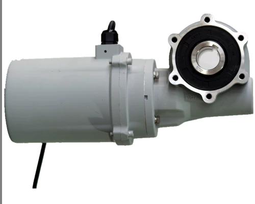 XRV Series Car Washer Gearbox For Automatic Car Wash System-XRV050 Gearmotor